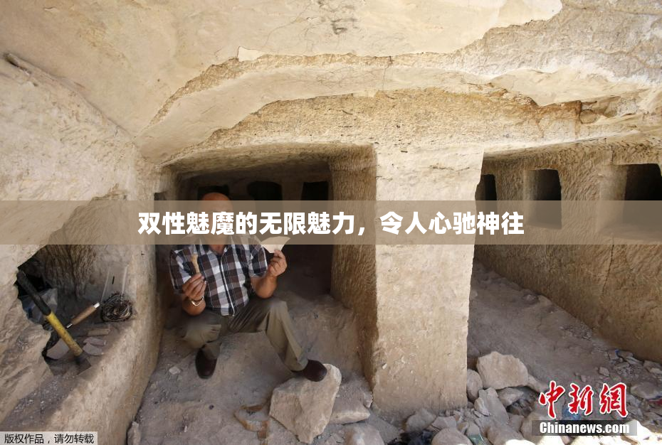双性魅魔的无限魅力，令人心驰神往