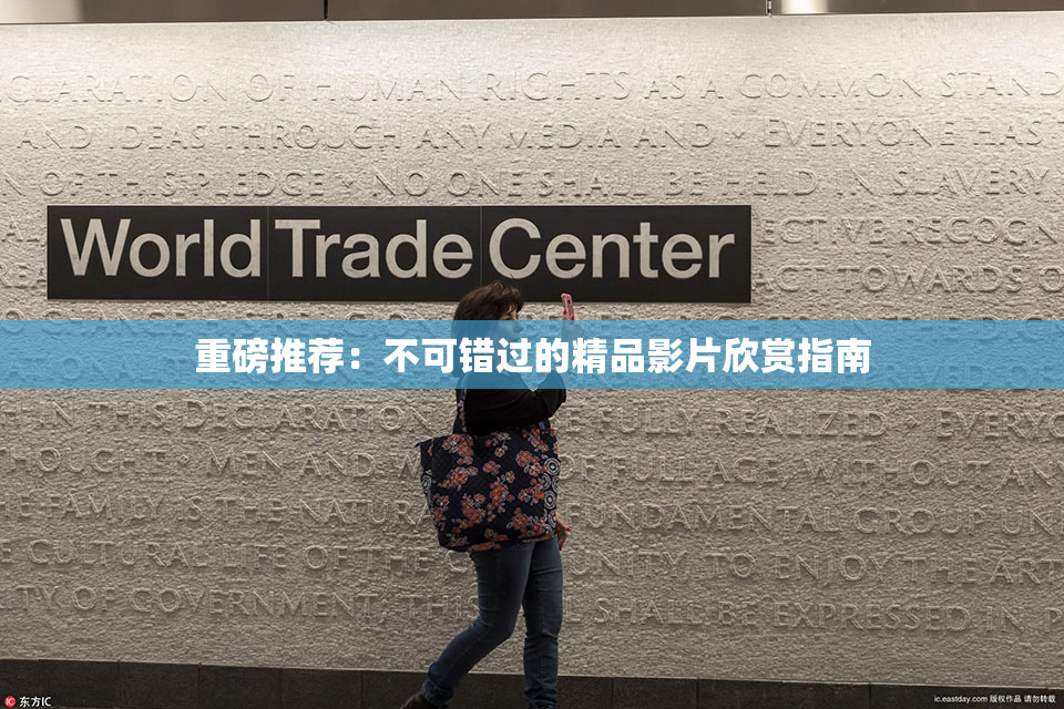 重磅推荐：不可错过的精品影片欣赏指南