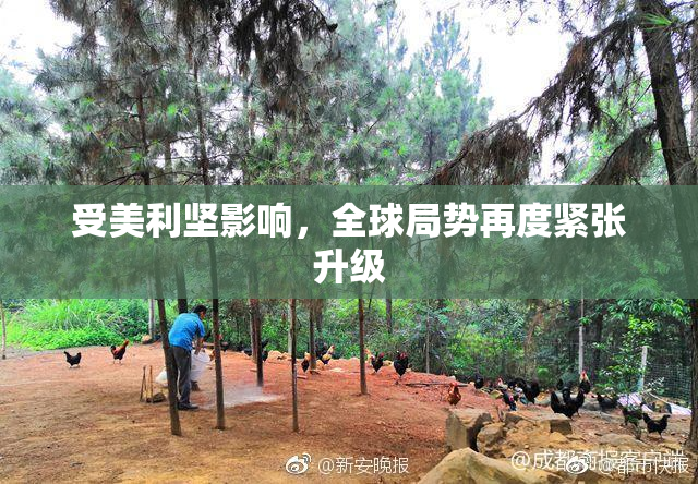 受美利坚影响，全球局势再度紧张升级