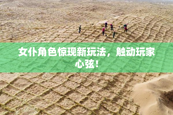 女仆角色惊现新玩法，触动玩家心弦！