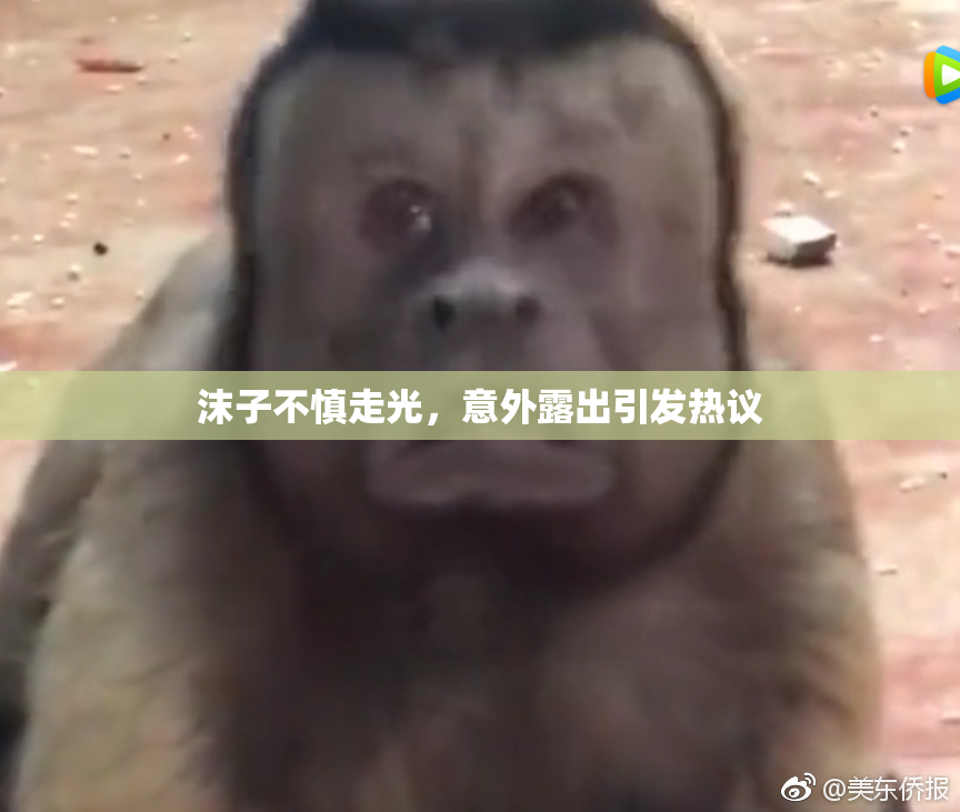 沫子不慎走光，意外露出引发热议