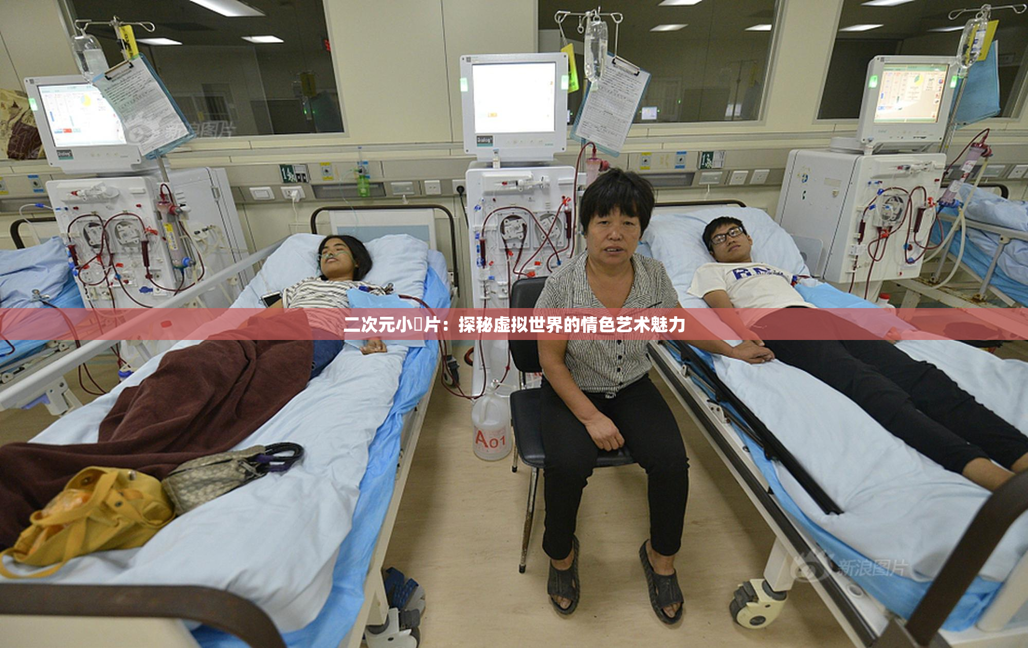 二次元小黃片：探秘虚拟世界的情色艺术魅力