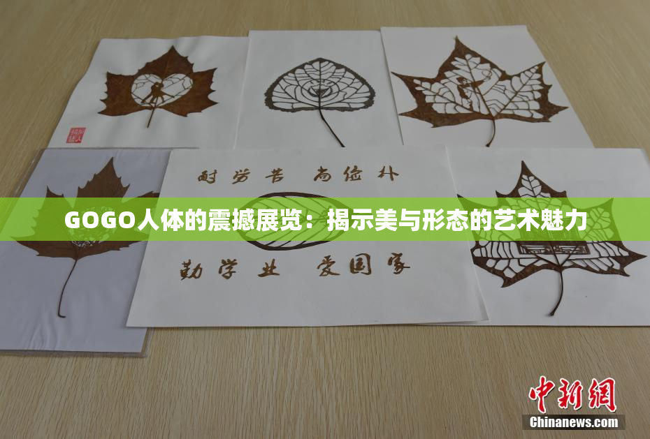 GOGO人体的震撼展览：揭示美与形态的艺术魅力