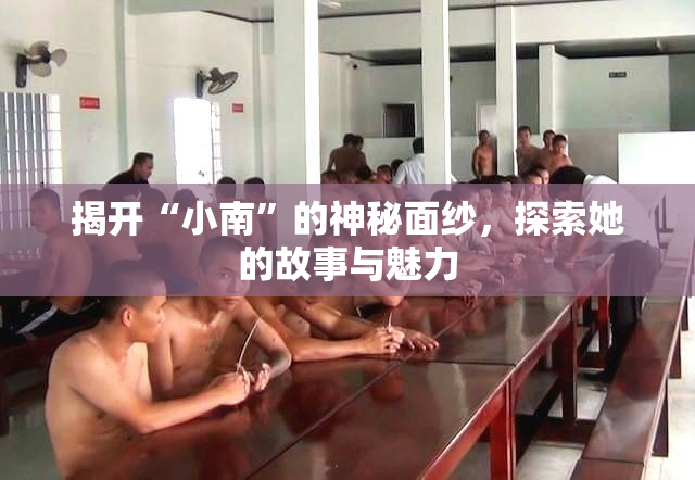 揭开“小南”的神秘面纱，探索她的故事与魅力