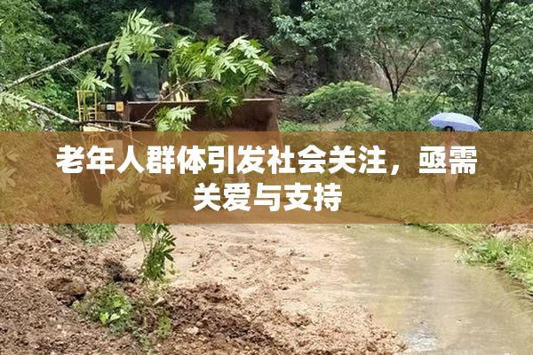 老年人群体引发社会关注，亟需关爱与支持