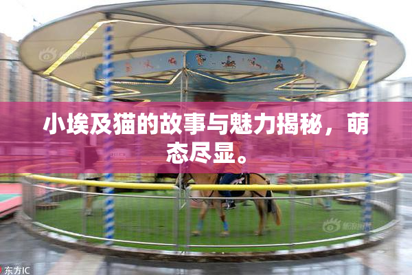小埃及猫的故事与魅力揭秘，萌态尽显。