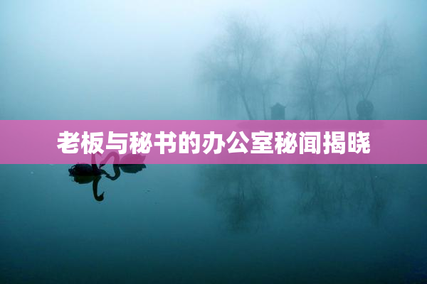 老板与秘书的办公室秘闻揭晓