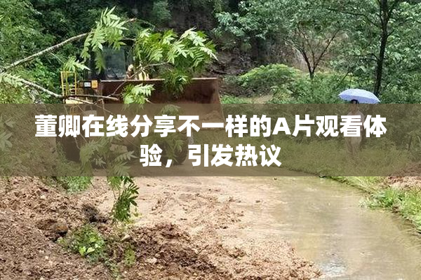 董卿在线分享不一样的A片观看体验，引发热议