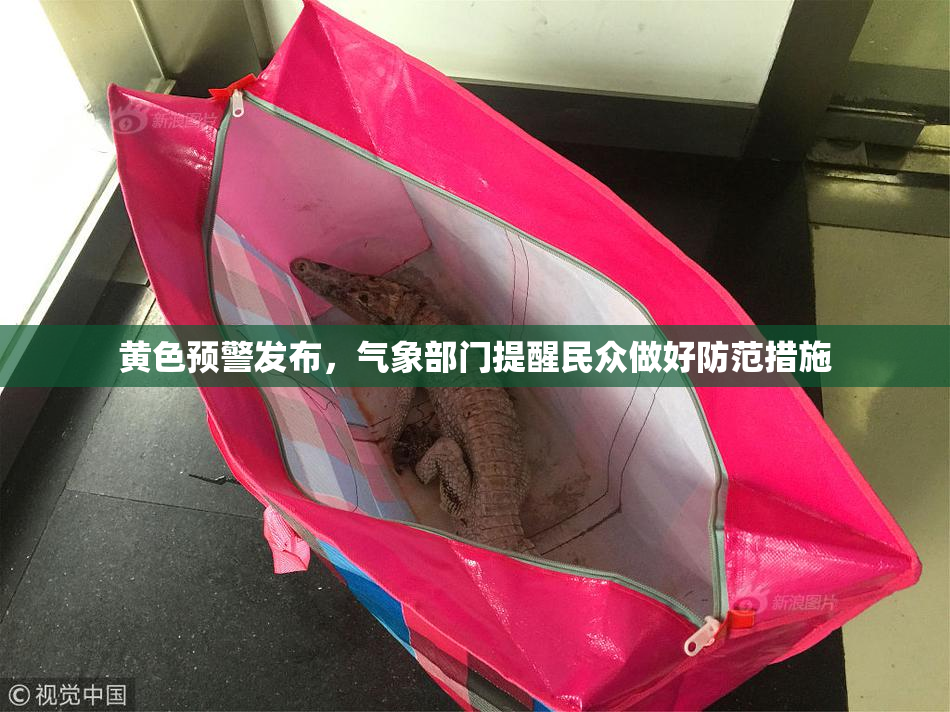 黄色预警发布，气象部门提醒民众做好防范措施
