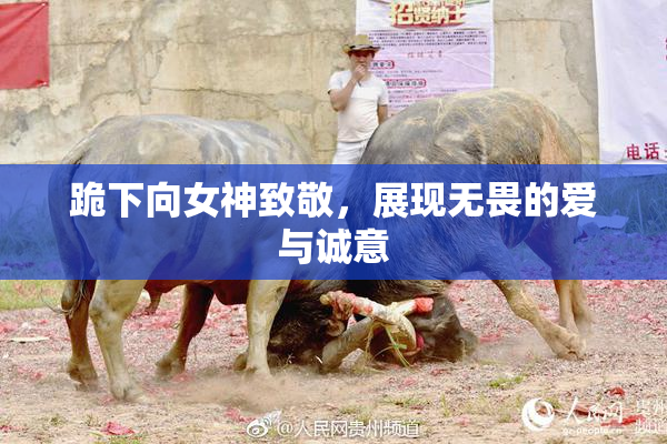 跪下向女神致敬，展现无畏的爱与诚意
