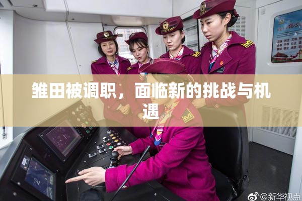 雏田被调职，面临新的挑战与机遇
