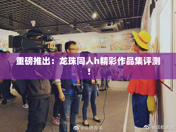 重磅推出：龙珠同人h精彩作品集评测！