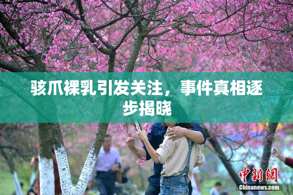 骇爪裸乳引发关注，事件真相逐步揭晓
