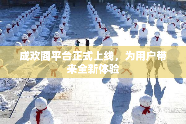 成欢阁平台正式上线，为用户带来全新体验