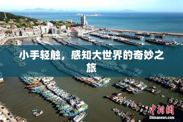 小手轻触，感知大世界的奇妙之旅