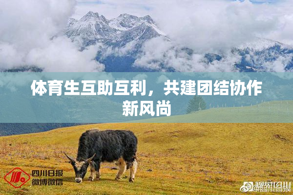 体育生互助互利，共建团结协作新风尚
