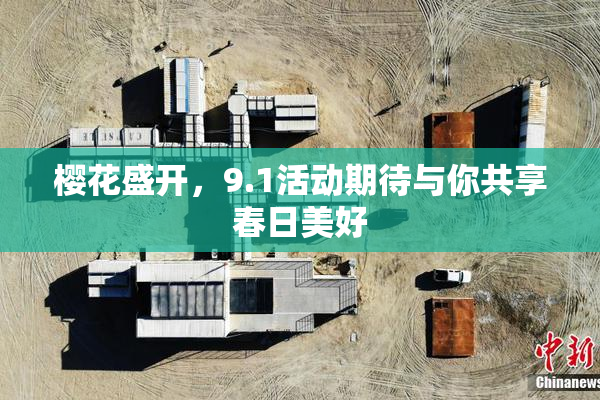 樱花盛开，9.1活动期待与你共享春日美好