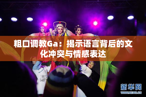 粗口调教Ga：揭示语言背后的文化冲突与情感表达