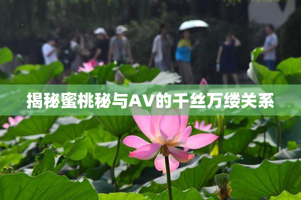 揭秘蜜桃秘与AV的千丝万缕关系