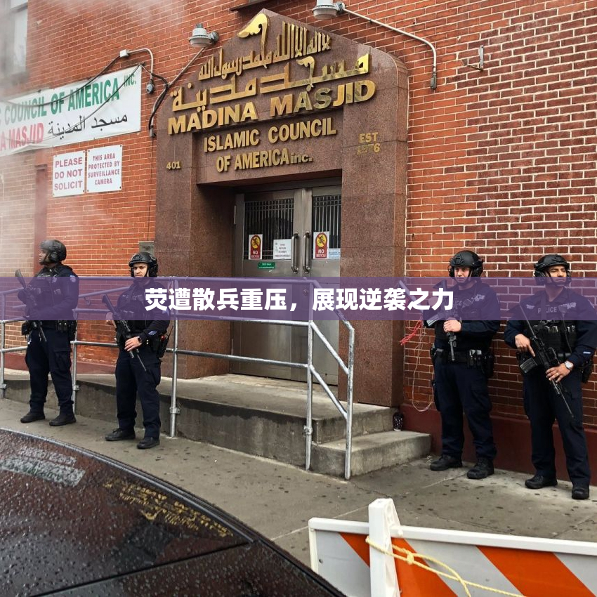 荧遭散兵重压，展现逆袭之力