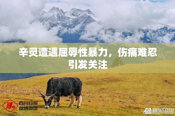 辛灵遭遇屈辱性暴力，伤痛难忍引发关注