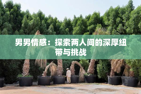 男男情感：探索两人间的深厚纽带与挑战