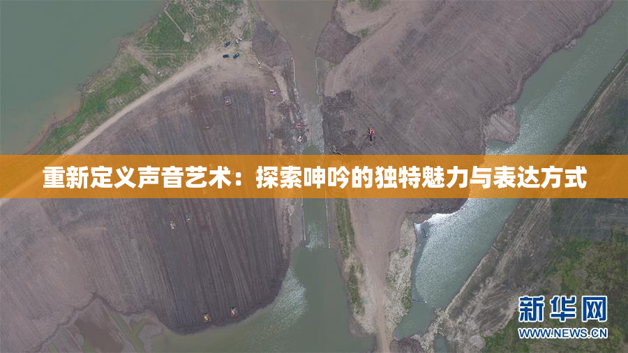 重新定义声音艺术：探索呻吟的独特魅力与表达方式