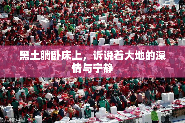 黑土躺卧床上，诉说着大地的深情与宁静