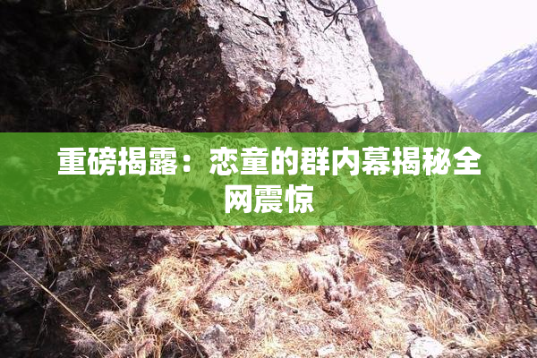 重磅揭露：恋童的群内幕揭秘全网震惊