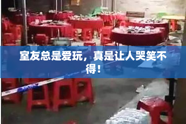室友总是爱玩，真是让人哭笑不得！