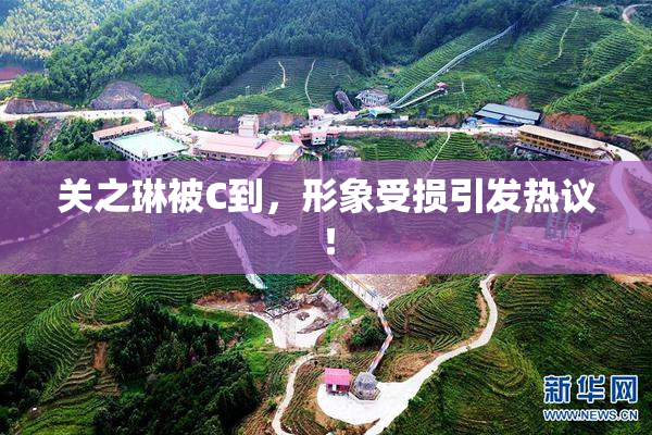 关之琳被C到，形象受损引发热议！