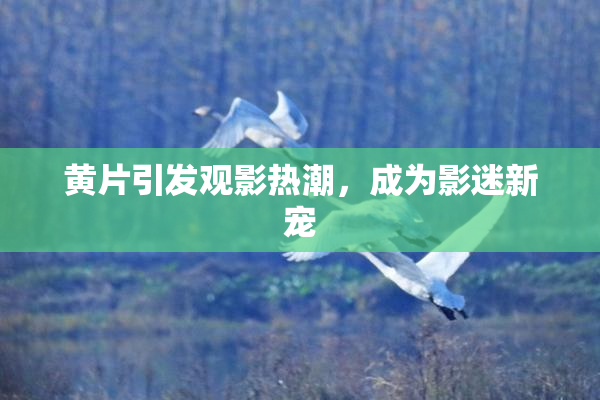 黄片引发观影热潮，成为影迷新宠