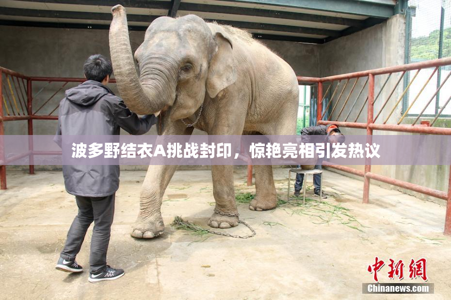 波多野结衣A挑战封印，惊艳亮相引发热议