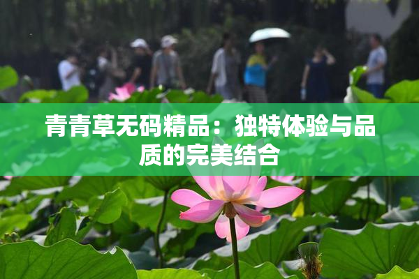 青青草无码精品：独特体验与品质的完美结合