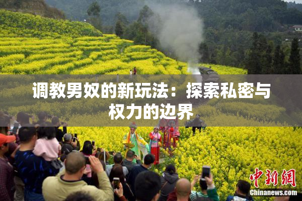 调教男奴的新玩法：探索私密与权力的边界