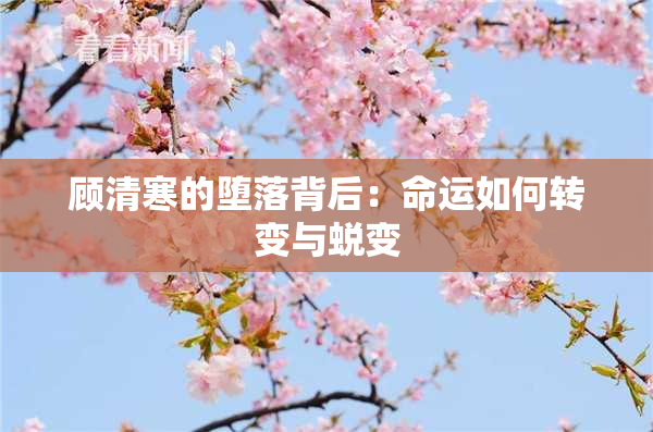 顾清寒的堕落背后：命运如何转变与蜕变