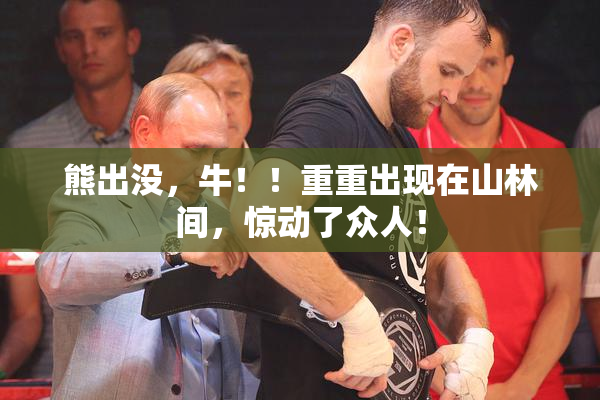 熊出没，牛！！重重出现在山林间，惊动了众人！