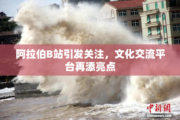 阿拉伯B站引发关注，文化交流平台再添亮点