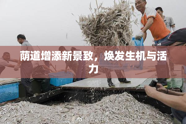 荫道增添新景致，焕发生机与活力