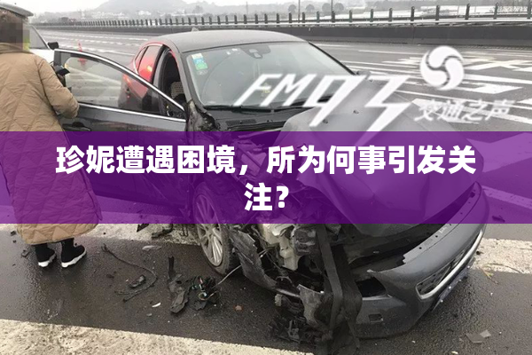 珍妮遭遇困境，所为何事引发关注？