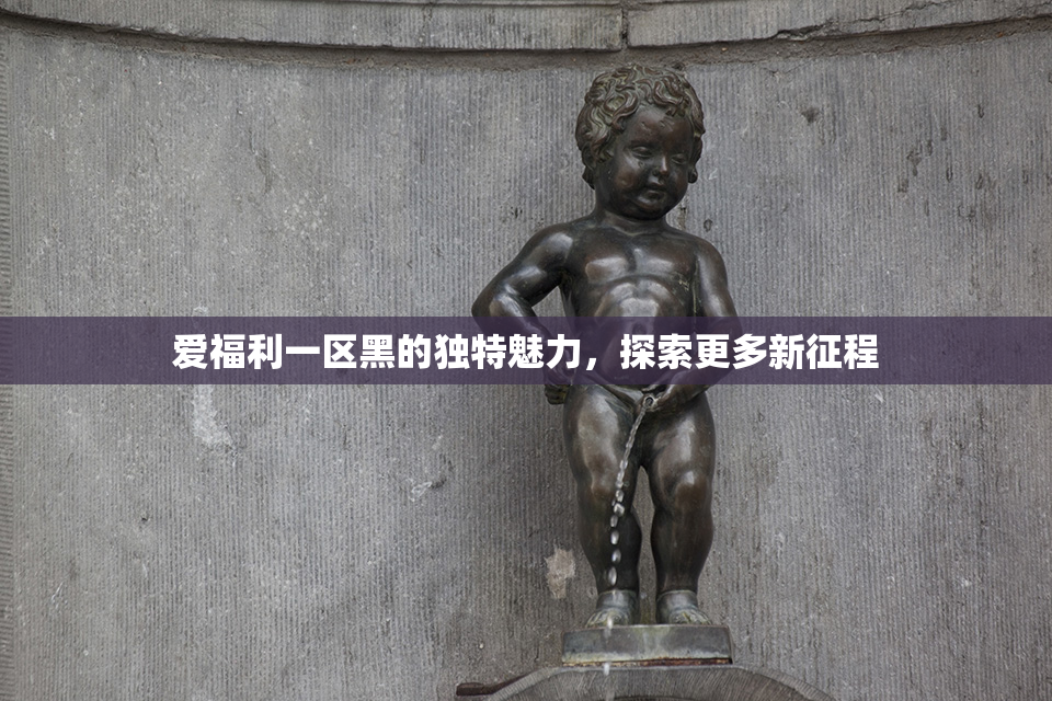 爱福利一区黑的独特魅力，探索更多新征程