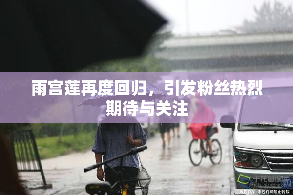 雨宫莲再度回归，引发粉丝热烈期待与关注
