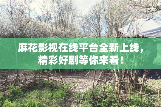 麻花影视在线平台全新上线，精彩好剧等你来看！