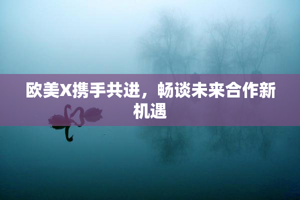 欧美X携手共进，畅谈未来合作新机遇