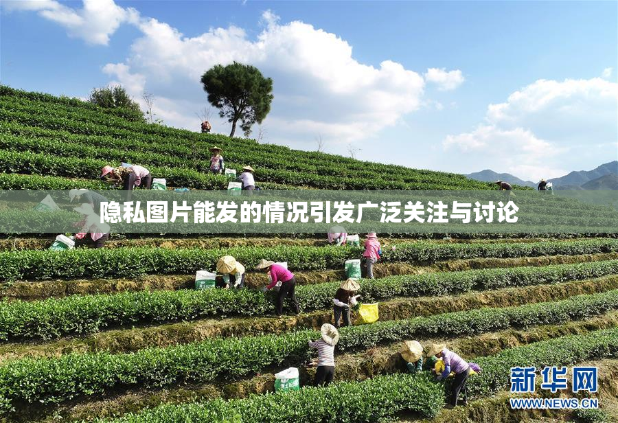 隐私图片能发的情况引发广泛关注与讨论