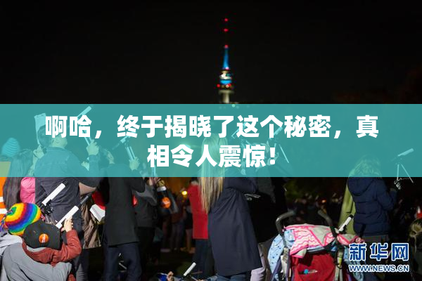 啊哈，终于揭晓了这个秘密，真相令人震惊！