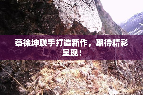 蔡徐坤联手打造新作，期待精彩呈现！