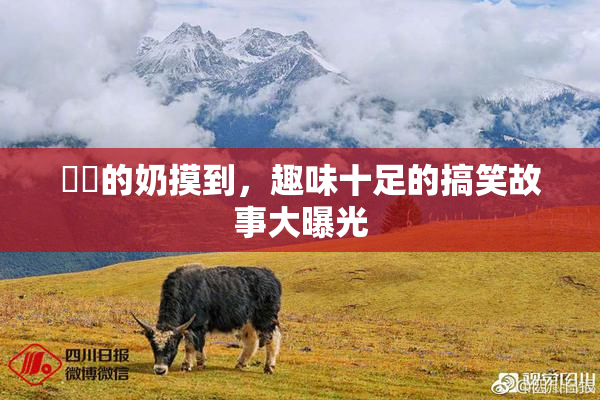 妺妺的奶摸到，趣味十足的搞笑故事大曝光