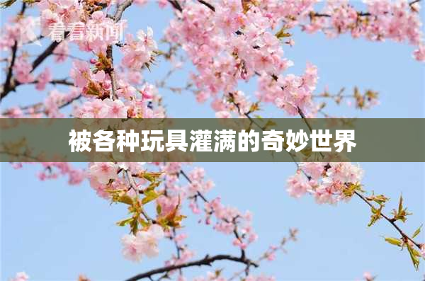 被各种玩具灌满的奇妙世界