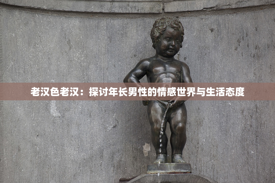 老汉色老汉：探讨年长男性的情感世界与生活态度